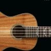 Hal Leonard USA HAL LEONARD UKULELE METHOD BOOK 1
