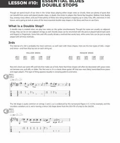 Promo ⭐ Hal Leonard USA 100 BLUES LESSONS Guitar Lesson Goldmine Series 🔥 12 Hal Leonard USA 100 BLUES LESSONS Guitar Lesson Goldmine Series