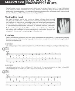 Promo ⭐ Hal Leonard USA 100 BLUES LESSONS Guitar Lesson Goldmine Series 🔥 14 Hal Leonard USA 100 BLUES LESSONS Guitar Lesson Goldmine Series
