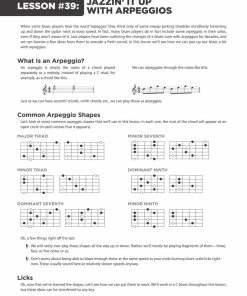 Promo ⭐ Hal Leonard USA 100 BLUES LESSONS Guitar Lesson Goldmine Series 🔥 16 Hal Leonard USA 100 BLUES LESSONS Guitar Lesson Goldmine Series