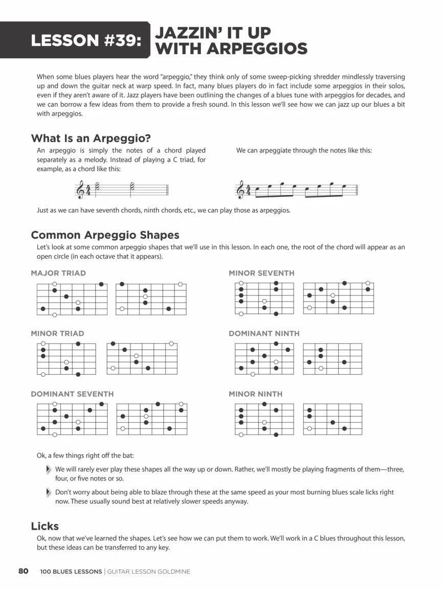 Promo ⭐ Hal Leonard USA 100 BLUES LESSONS Guitar Lesson Goldmine Series 🔥 8 Hal Leonard USA 100 BLUES LESSONS Guitar Lesson Goldmine Series