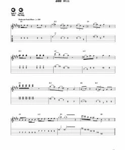 Hal Leonard USA 12-BAR BLUES SOLOS 25 Authentic Leads Arranged For Guitar In Standard Notation & Tablature Print Music