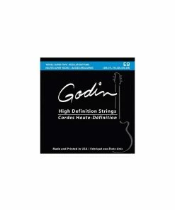 Godin Electric Nickel Guitar Strings Super Top Regular Bottom E9 Made By D'Addario