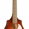 Folk Instruments Seagull 041596 S8 Mandolin Burnt Umber With Bag MADE In CANADA D