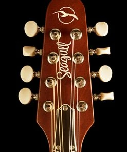 Folk Instruments Seagull 041596 S8 Mandolin Burnt Umber With Bag MADE In CANADA D