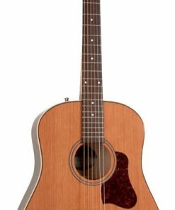 Acoustic Guitars Seagull 042494 Coastline Momentum HG Acoustic Electric MADE In CANADA