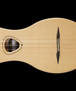 Folk Instruments Seagull 042524 M4 Spruce Merlin Dulcimer Electric EQ MADE In CANADA