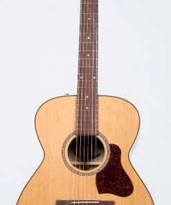 Acoustic Guitars Seagull 045372 Coastline CH Momentum 6 String RH Acoustic Electric Guitar HG