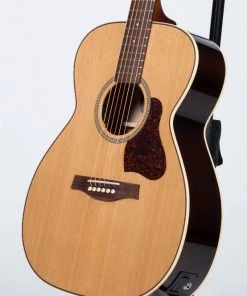 Acoustic Guitars Seagull 045372 Coastline CH Momentum 6 String RH Acoustic Electric Guitar HG