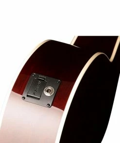 Acoustic Guitars Seagull 045372 Coastline CH Momentum 6 String RH Acoustic Electric Guitar HG