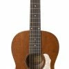 Art & Lutherie 047727 Roadhouse Havana Brown Q-Discrete Parlor Acoustic Electric MADE In CANADA Acoustic Guitars