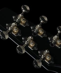 Seagull 047734 / 050574 Artist Limited Tuxedo Black EQ Acoustic Electric With Carrying Bag MADE In CANADA Acoustic Guitars