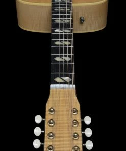 Norman B50 048540 / 050499 12 String Acoustic Electric Guitar Natural HG Element With Carrying Bag MADE In CANADA Acoustic Guitars