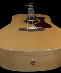 Norman 048564 B20 Natural GT QIT Acoustic Electric MADE In CANADA