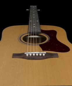 Norman 048564 B20 Natural GT QIT Acoustic Electric MADE In CANADA