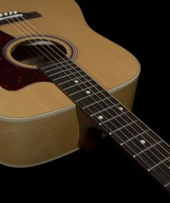 Norman 048564 B20 Natural GT QIT Acoustic Electric MADE In CANADA