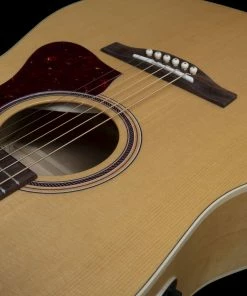 Norman 048564 B20 Natural GT QIT Acoustic Electric MADE In CANADA