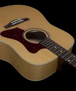 Norman 048564 B20 Natural GT QIT Acoustic Electric MADE In CANADA