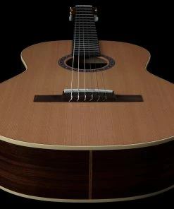Godin 049752 Presentation Solid Top Classical Nylon Guitar Made In Canada