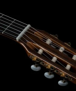 Godin 049752 Presentation Solid Top Classical Nylon Guitar Made In Canada