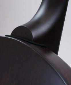 Deering USA Deering Artisan Goodtime Special 5-String Banjo Made In USA