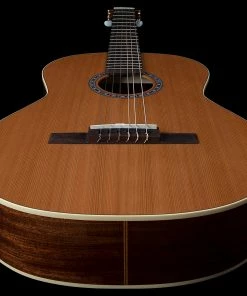 Classical Guitars Godin 049660 6 String Left Handed Concert Classical Guitar MADE In CANADA