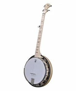 Deering USA Deering Goodtime Special Banjo With Resonator MADE In USA