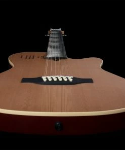 Godin 025343 A12 Natural SG 12 String Acoustic Electric Guitar Made In Canada Acoustic Guitars