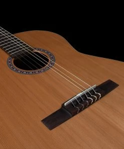 Classical Guitars Godin 049660 6 String Left Handed Concert Classical Guitar MADE In CANADA