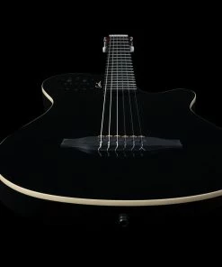 Best reviews of ๐ Classical Guitars Godin 047369 ACS Grand Concert Black HG Classical Guitar MADE In CANADA Discounted ๐ 16 Classical Guitars Godin 047369 ACS Grand Concert Black HG Classical Guitar MADE In CANADA Discounted