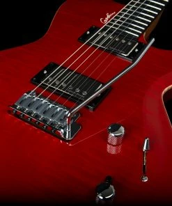 Godin 047604 DS-1 Daryl Stuermer Signature Electric Guitar MADE In CANADA