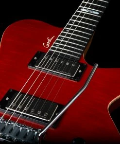 Godin 047604 DS-1 Daryl Stuermer Signature Electric Guitar MADE In CANADA