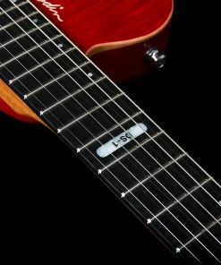 Godin 047604 DS-1 Daryl Stuermer Signature Electric Guitar MADE In CANADA