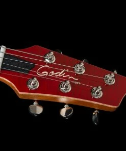Godin 047604 DS-1 Daryl Stuermer Signature Electric Guitar MADE In CANADA