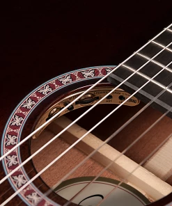 Godin 049615 / 051229 Arena Pro CW Bourbon Burst EQ Classical Guitar MADE In CANADA Classical Guitars