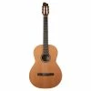 Godin 049622 Collection Classical Guitar MADE In CANADA Classical Guitars