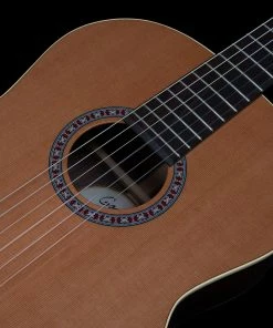 Godin 049622 Collection Classical Guitar MADE In CANADA Classical Guitars