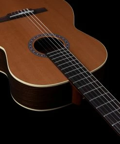 Godin 049622 Collection Classical Guitar MADE In CANADA Classical Guitars