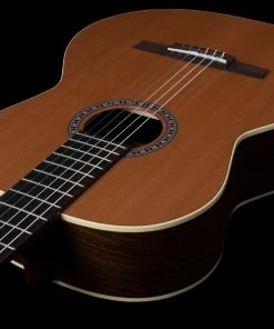 Godin 049622 Collection Classical Guitar MADE In CANADA Classical Guitars