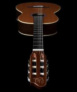 Godin 049639 Collection QIT Electric Classical Guitar MADE In CANADA