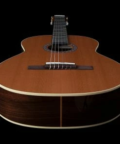 Godin 049622 Collection Classical Guitar MADE In CANADA Classical Guitars