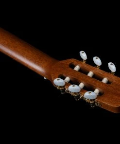 Godin 049622 Collection Classical Guitar MADE In CANADA Classical Guitars