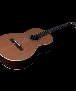 Godin 049622 Collection Classical Guitar MADE In CANADA Classical Guitars