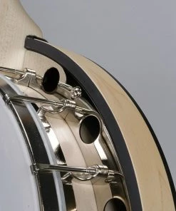 Deering USA Deering Goodtime Special Banjo With Resonator MADE In USA