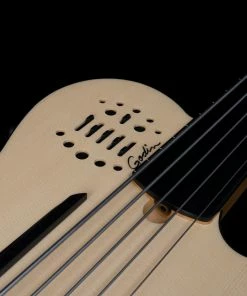 Godin 050789 A5 Ultra Natural Fretless Acoustic Electric Bass Guitar MADE In CANADA