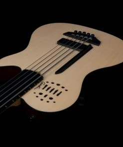 Godin 050789 A5 Ultra Natural Fretless Acoustic Electric Bass Guitar MADE In CANADA