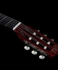 Godin 050925 Multiac Nylon Deluxe Classical Guitar MADE In CANADA