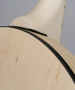 Deering USA Deering Goodtime Special Banjo With Resonator MADE In USA