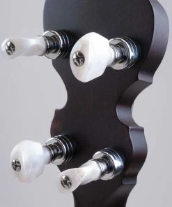 Deering USA Deering Artisan Goodtime Special 5-String Banjo Made In USA