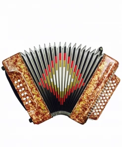 BARONELLI USA AC3112G Full Size 31 Button Accordion Accordions